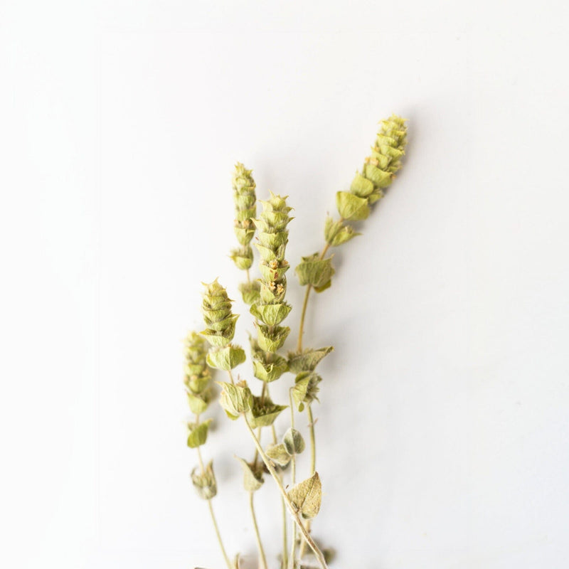 Dried herbs with light green leaves and seed heads from Rishi Tea & Botanicals capture the calming essence of herbal tea, set against a plain white background.