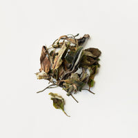 Wild Thai White-image
